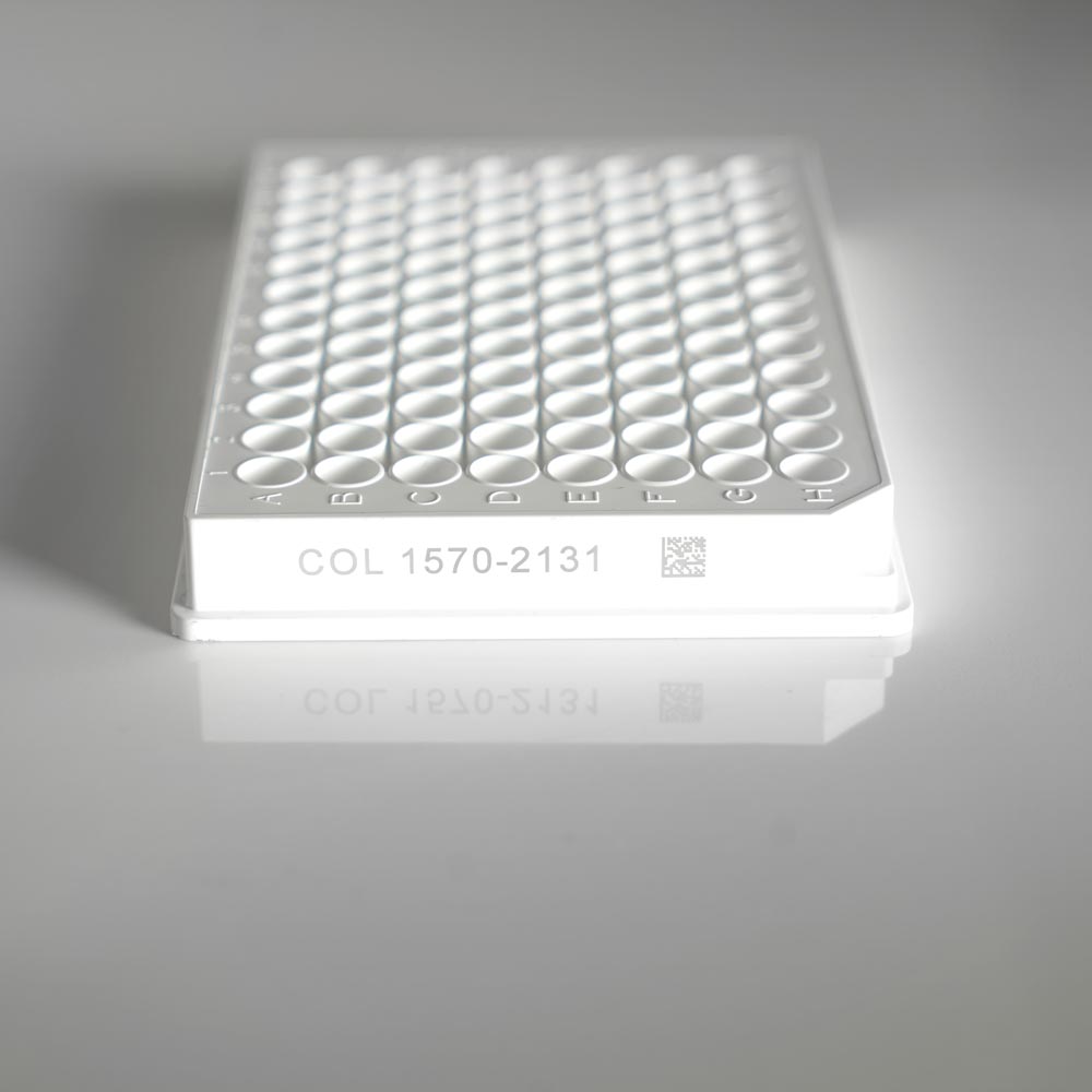 arca-laser-marking-marcatura-laser-marcatori-laser-41.jpg